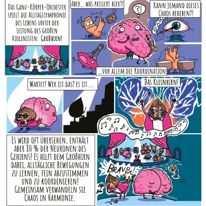 Kleinhirn (Cerebellum)