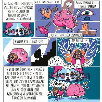 Kleinhirn (Cerebellum)