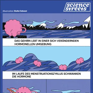 Hormone und Gehirn (2:3)