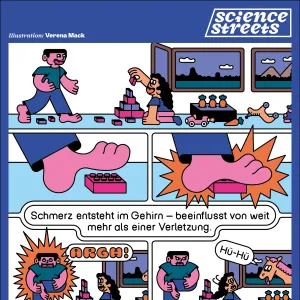 Schmerzwahrnehmung (2:3)