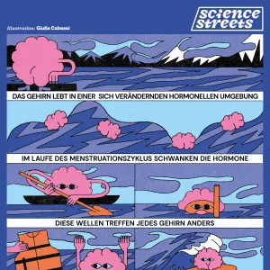 Hormone und Gehirn (1:1)